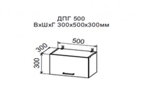 Шкаф верхний ДПГ500 горизонтальный в Губкинском - gubkinskij.magazin-mebel74.ru | фото
