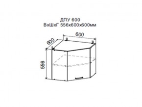 Шкаф верхний ДПУ600 угловой в Губкинском - gubkinskij.magazin-mebel74.ru | фото